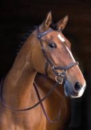 Rambo Micklem Multi Bridle 