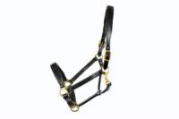 Dever Ascot Padded Leather Headcollar