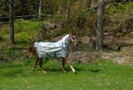 Bucas Power Turnout Combi Neck