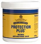 Protection Plus