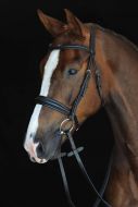 Collegiate Mono Crown Padded Raised Cavesson Bridle
