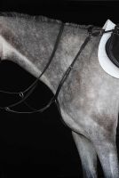 Collegiate IV Hunt Breastplate