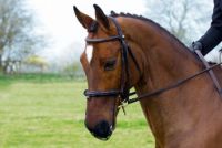 Equilibrium Net Relief Muzzle Net