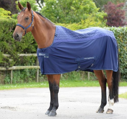 Bucas Therapy Cooler Rug