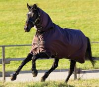 Amigo Turnout Hero-6 All in One 100g