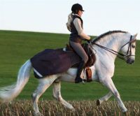 Amigo Competition Sheet