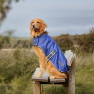 Weatherbeeta Comfitec Windbreaker Free Dog Coat