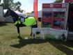 High Viz for Horse and Rider