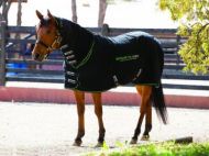 Sportz-Vibe Massage Rug