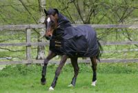 Bucas Irish Turnout - 300g