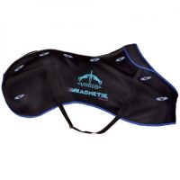 Veredus Magnetik Rug