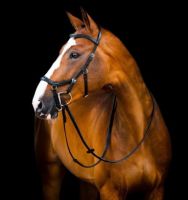 Rambo Micklem 2 Delux Competition Bridle