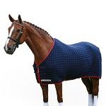 SHR- The Original Thermatex Rug