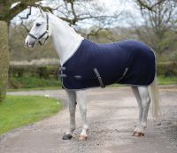 Weatherbeeta Thermocell Cooler